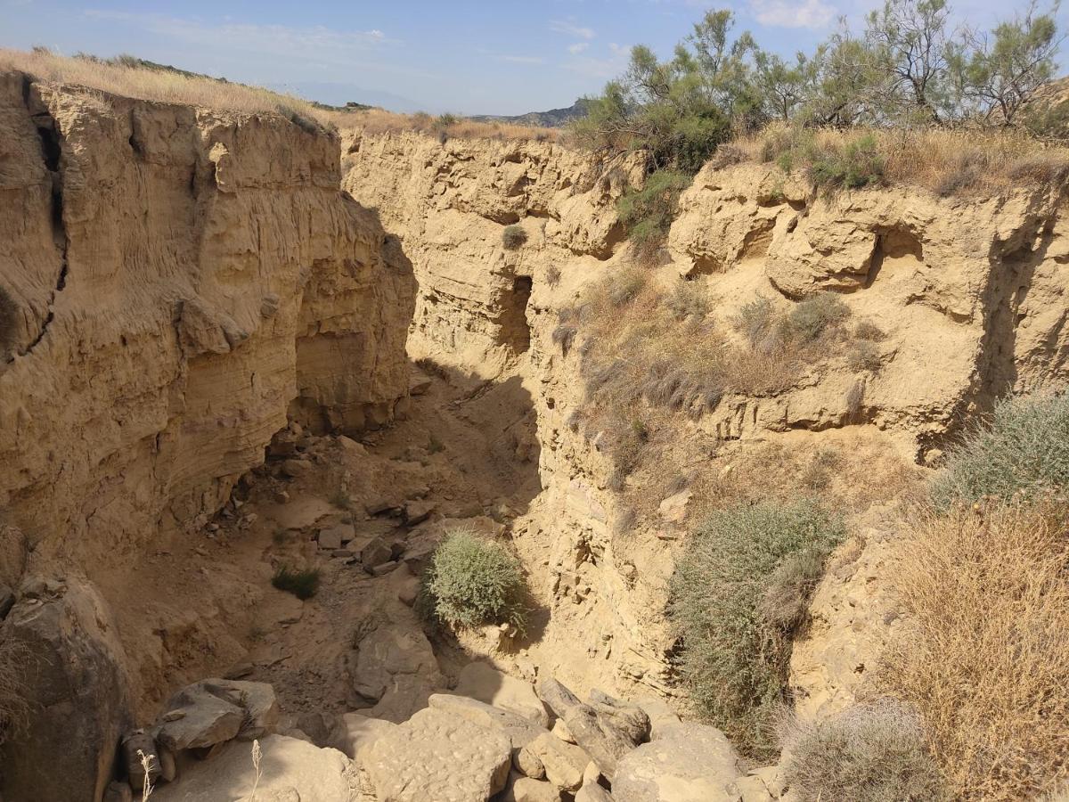 El Pinar De Bardena Villa Carcastillo Eksteriør bilde