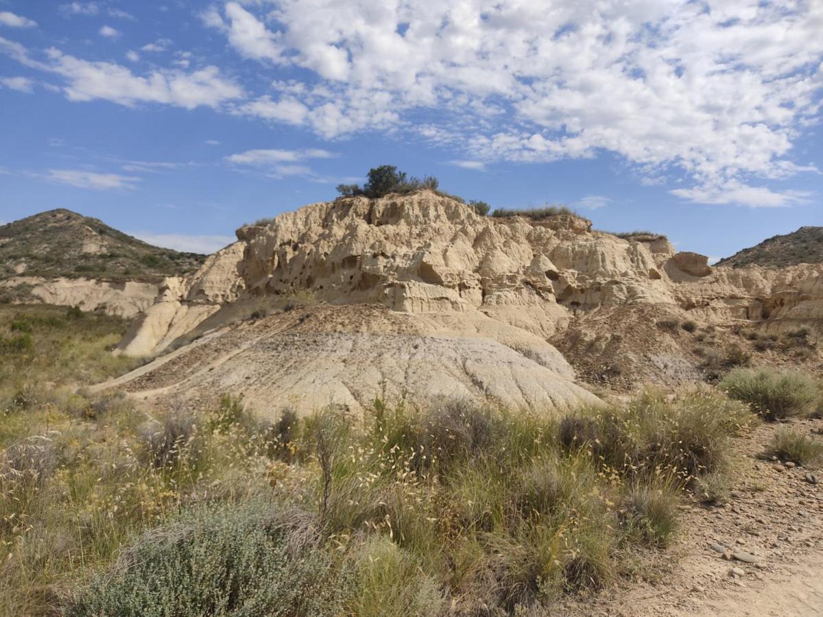 El Pinar De Bardena Villa Carcastillo Eksteriør bilde