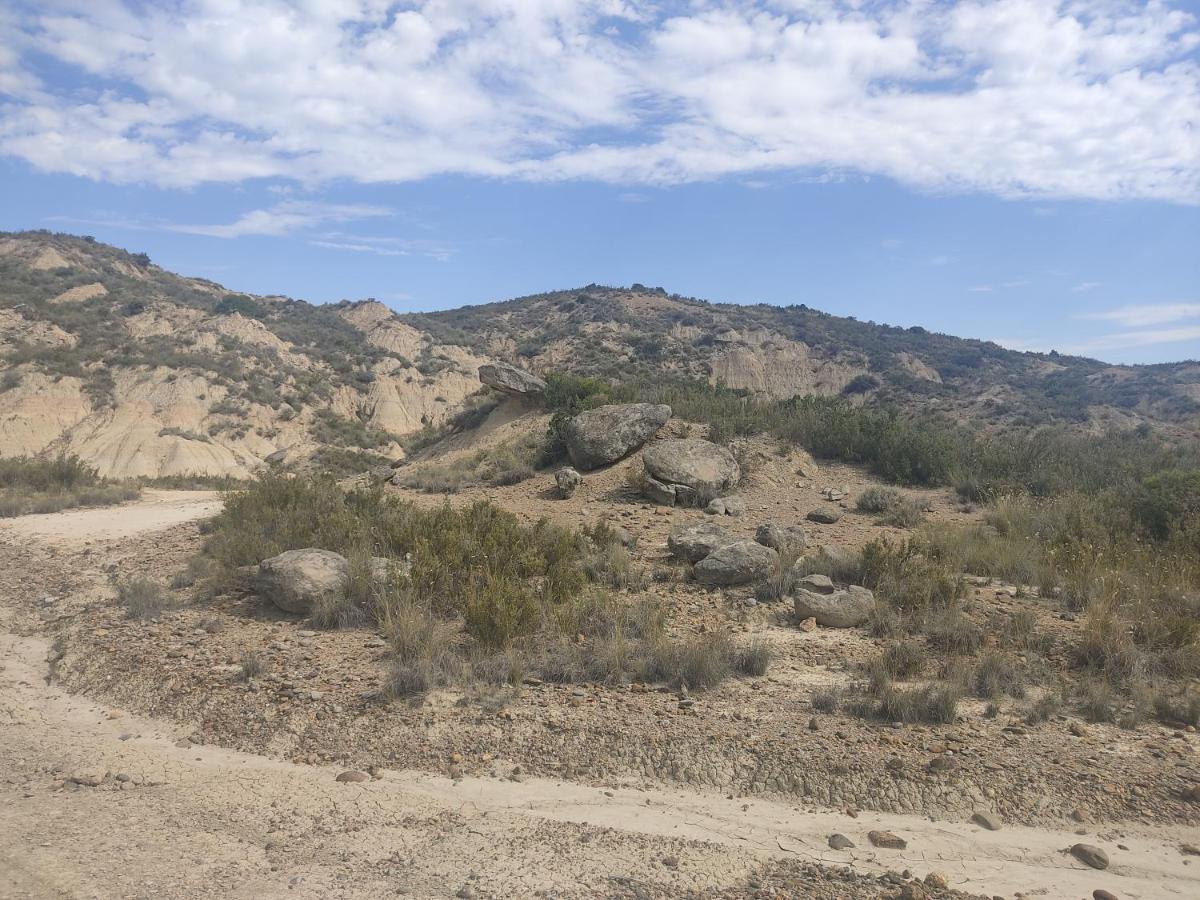 El Pinar De Bardena Villa Carcastillo Eksteriør bilde