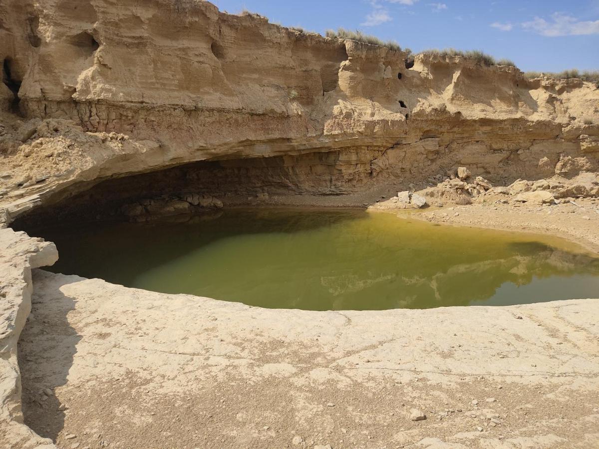 El Pinar De Bardena Villa Carcastillo Eksteriør bilde