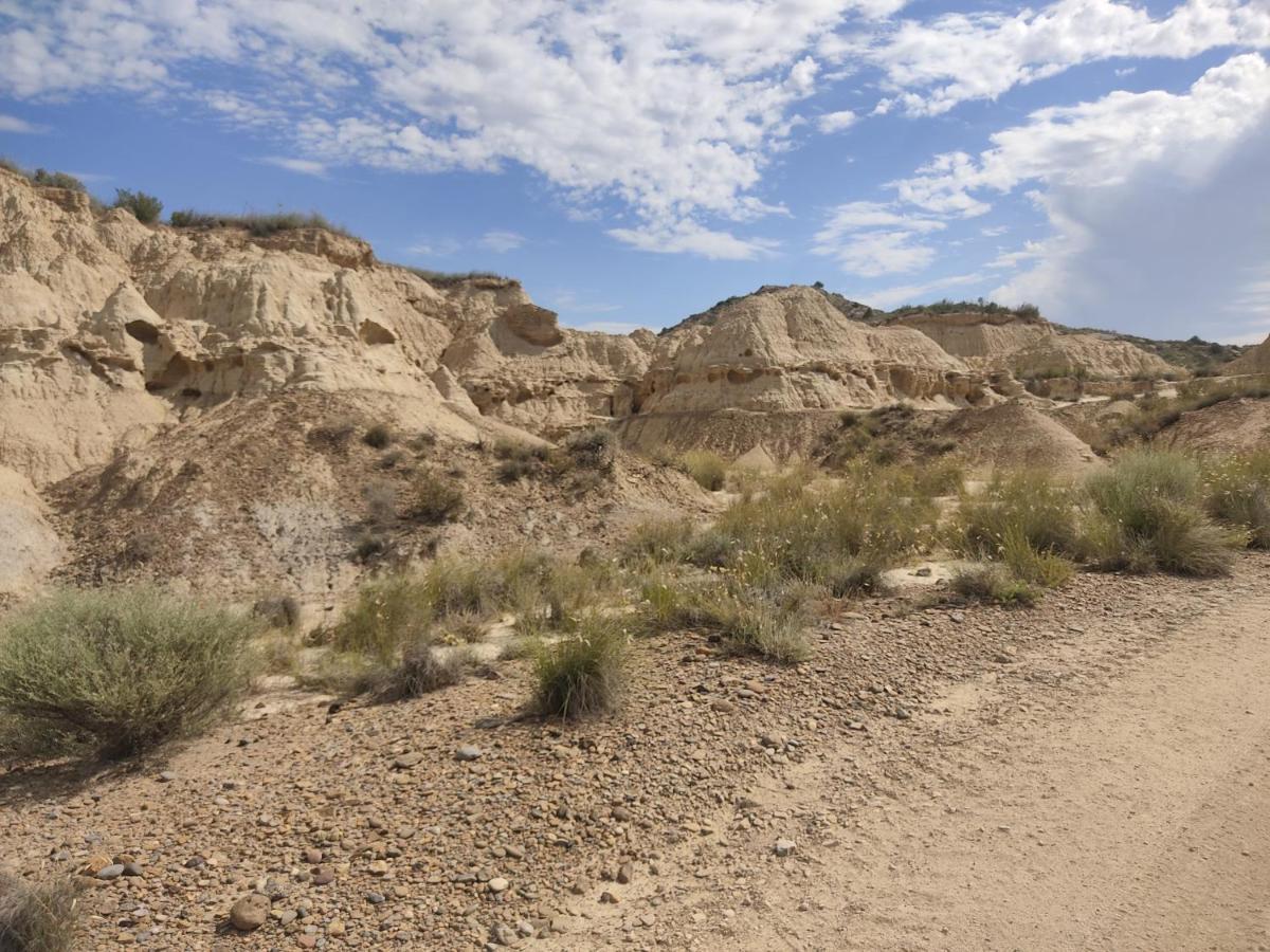 El Pinar De Bardena Villa Carcastillo Eksteriør bilde