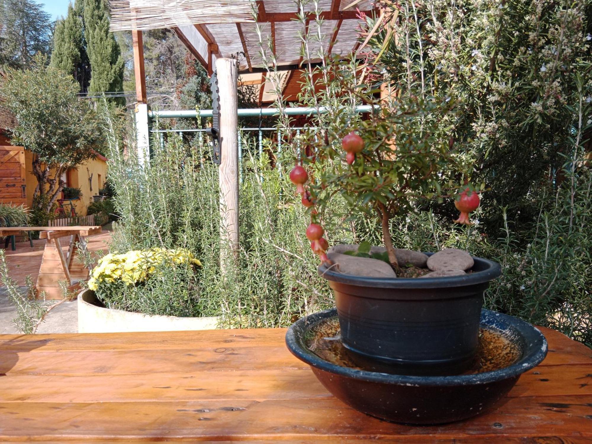 El Pinar De Bardena Villa Carcastillo Eksteriør bilde